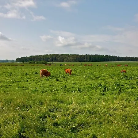 Zempow, Oekologisches Zempow