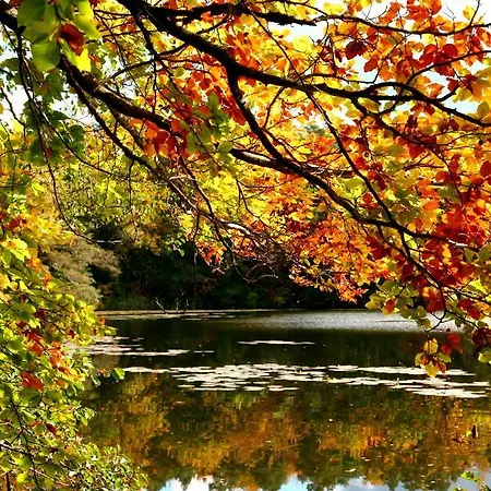 Zempow, Oekologisches Casa de Férias