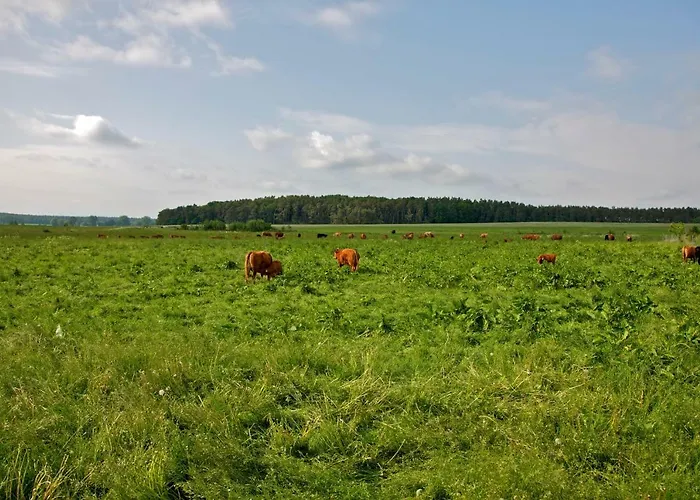 Zempow, Oekologisches Zempow