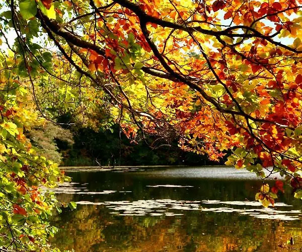 Zempow, Oekologisches Semesterbostad